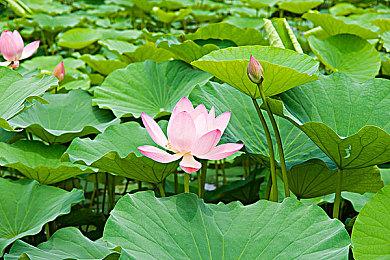 《漫威蜘蛛侠》开发商继续为未公布的多人游戏招募人才